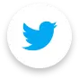 Webgurukul Institute Twitter icon